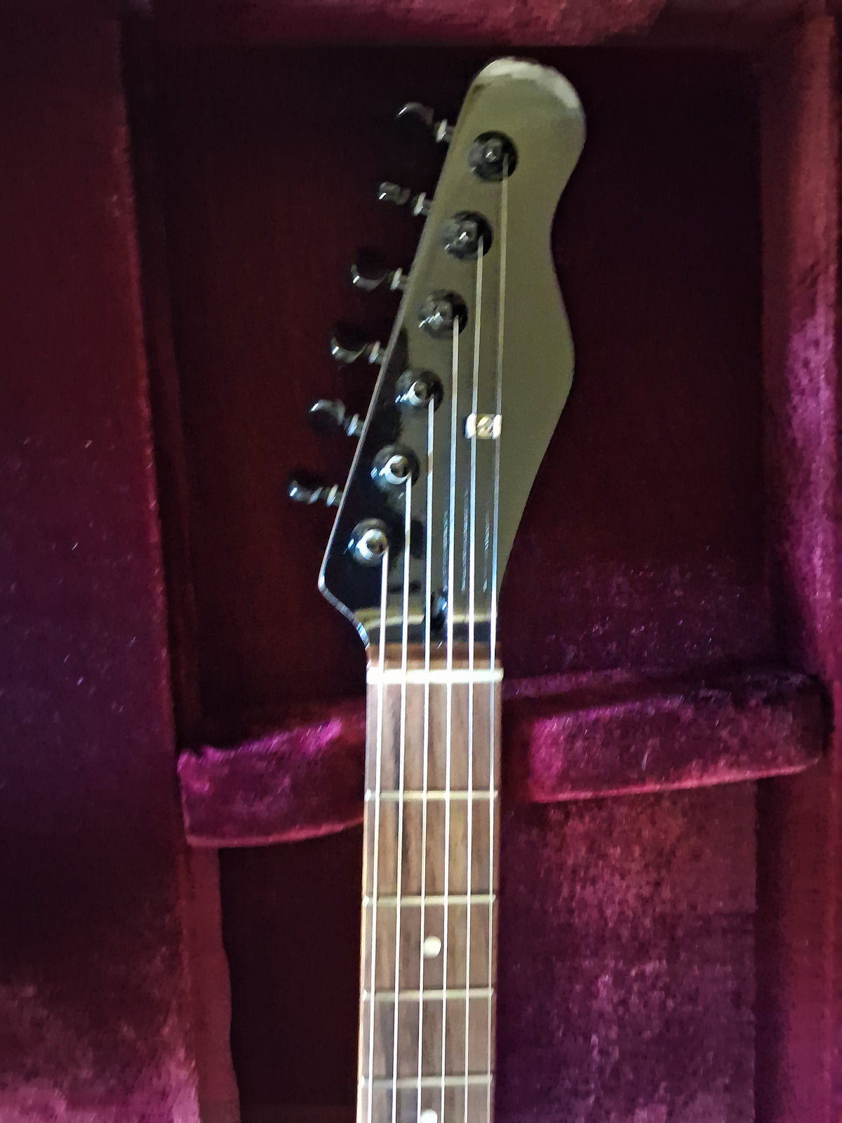 Big Paisley - Show Guitar