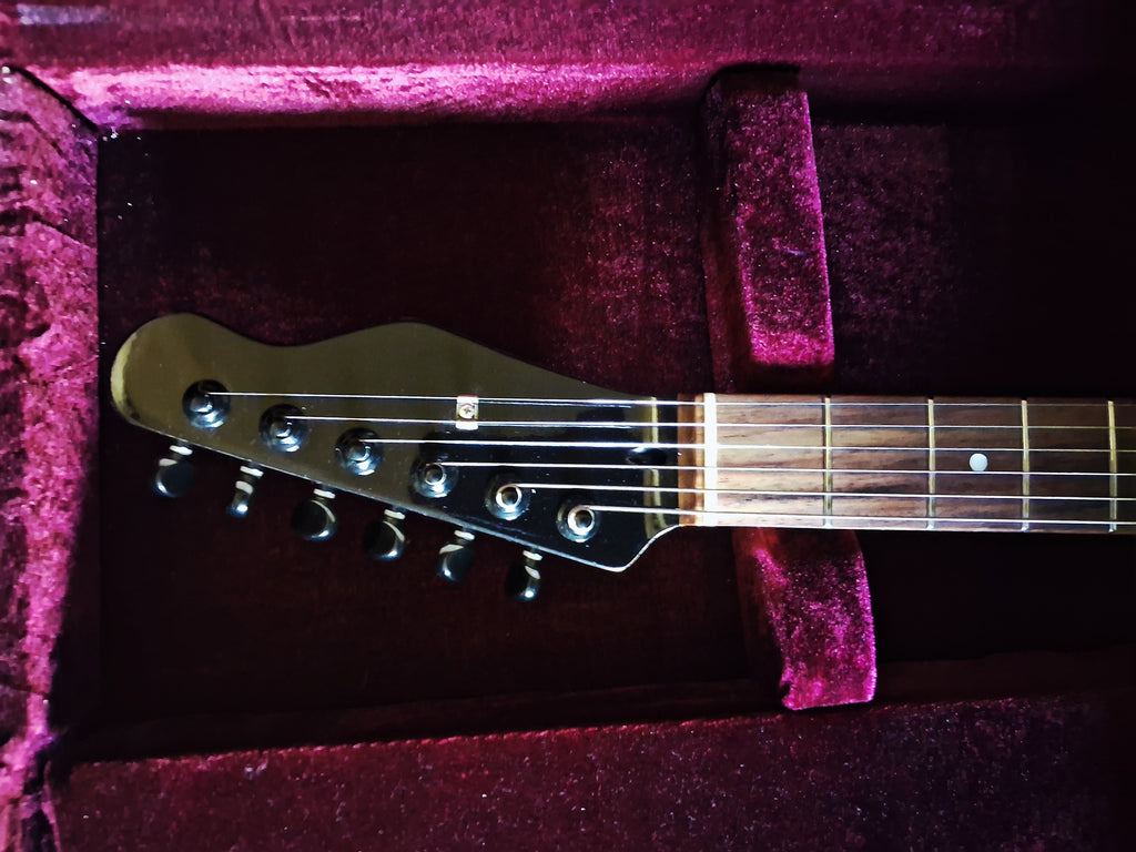 Big Paisley - Show Guitar